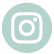 ig icon